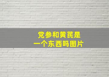 党参和黄芪是一个东西吗图片