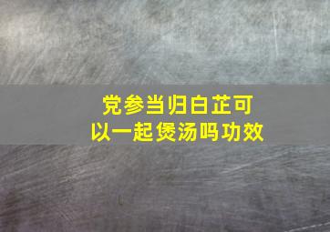 党参当归白芷可以一起煲汤吗功效