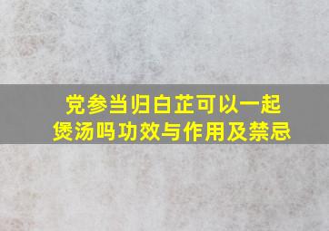 党参当归白芷可以一起煲汤吗功效与作用及禁忌