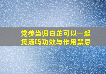 党参当归白芷可以一起煲汤吗功效与作用禁忌