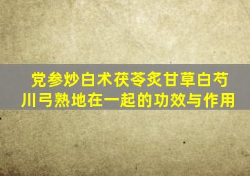 党参炒白术茯苓炙甘草白芍川弓熟地在一起的功效与作用