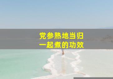 党参熟地当归一起煮的功效