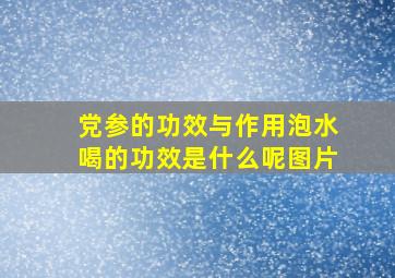 党参的功效与作用泡水喝的功效是什么呢图片