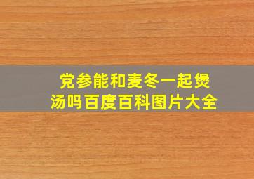 党参能和麦冬一起煲汤吗百度百科图片大全