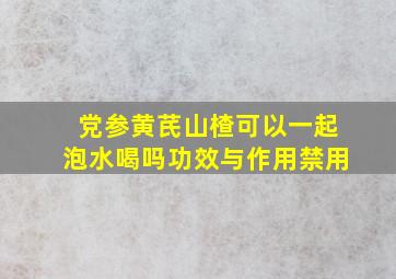 党参黄芪山楂可以一起泡水喝吗功效与作用禁用