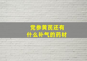 党参黄芪还有什么补气的药材