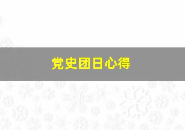 党史团日心得