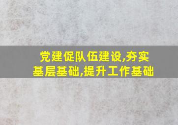 党建促队伍建设,夯实基层基础,提升工作基础