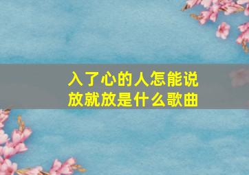 入了心的人怎能说放就放是什么歌曲