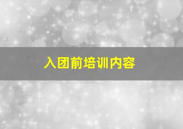 入团前培训内容