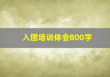 入团培训体会800字