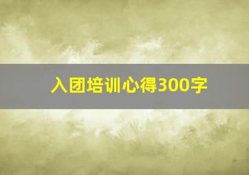 入团培训心得300字