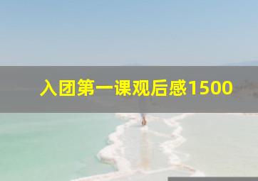 入团第一课观后感1500