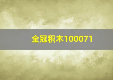 全冠积木100071