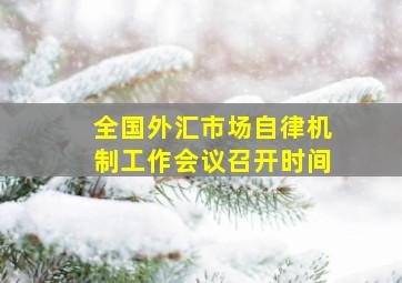 全国外汇市场自律机制工作会议召开时间