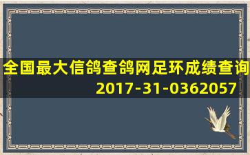 全国最大信鸽查鸽网足环成绩查询2017-31-0362057