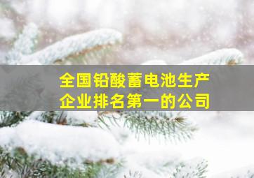 全国铅酸蓄电池生产企业排名第一的公司