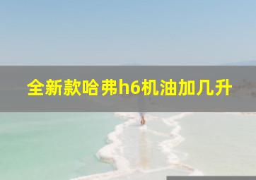 全新款哈弗h6机油加几升