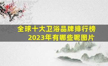 全球十大卫浴品牌排行榜2023年有哪些呢图片