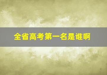 全省高考第一名是谁啊