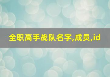 全职高手战队名字,成员,id