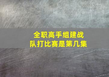 全职高手组建战队打比赛是第几集