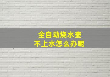 全自动烧水壶不上水怎么办呢