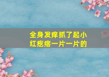 全身发痒抓了起小红疙瘩一片一片的