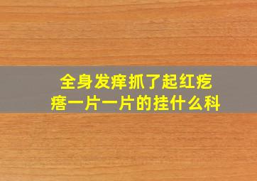 全身发痒抓了起红疙瘩一片一片的挂什么科