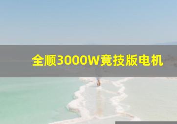 全顺3000W竞技版电机