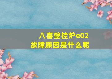 八喜壁挂炉e02故障原因是什么呢