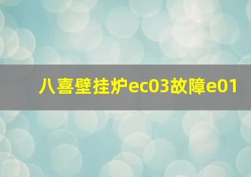 八喜壁挂炉ec03故障e01