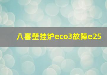 八喜壁挂炉eco3故障e25