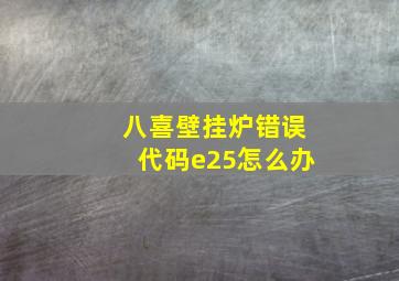 八喜壁挂炉错误代码e25怎么办