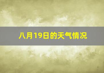 八月19日的天气情况