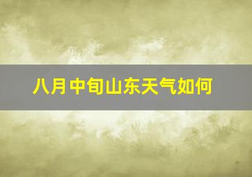 八月中旬山东天气如何