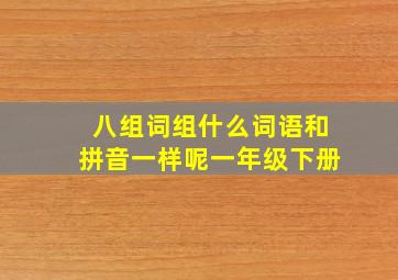 八组词组什么词语和拼音一样呢一年级下册