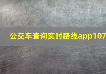 公交车查询实时路线app107