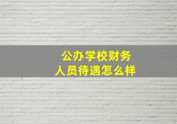 公办学校财务人员待遇怎么样