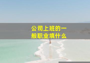 公司上班的一般职业填什么