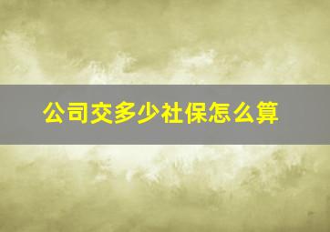 公司交多少社保怎么算