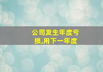 公司发生年度亏损,用下一年度