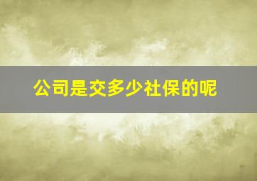 公司是交多少社保的呢