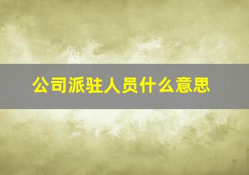 公司派驻人员什么意思