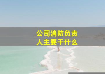 公司消防负责人主要干什么