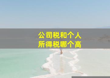 公司税和个人所得税哪个高