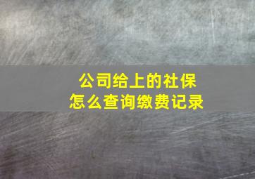 公司给上的社保怎么查询缴费记录