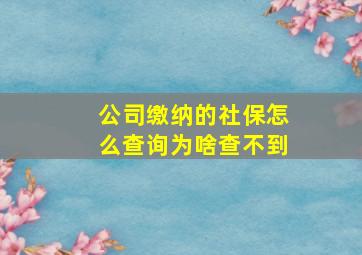 公司缴纳的社保怎么查询为啥查不到