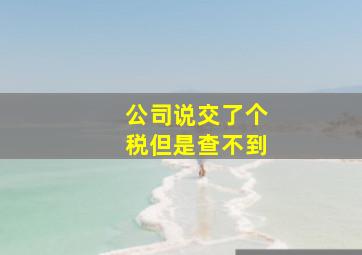 公司说交了个税但是查不到