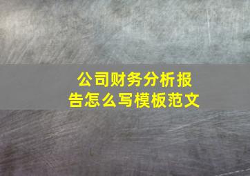 公司财务分析报告怎么写模板范文